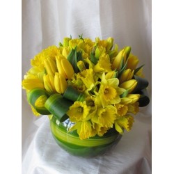 Daffodils and tulip bowl arrangemen