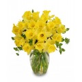 Daffodil vase